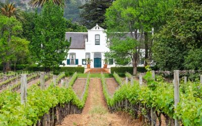 Curso de Gestión de Fincasㅤㅤㅤㅤㅤㅤㅤㅤㅤㅤㅤㅤㅤㅤㅤ