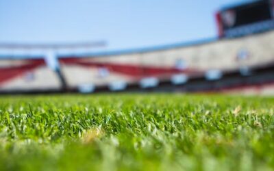 Gestión de la Instalación y Mantenimiento de Céspedes en Campos Deportivos