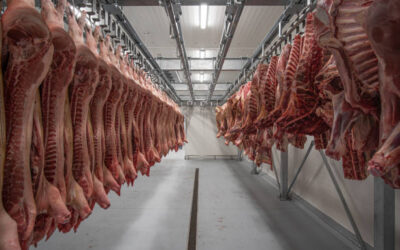 Asistencia de los Controles Sanitarios en Mataderos, Establecimientos de Manipulación de Caza y Salas de Despiece