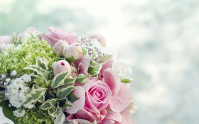 Actividades Auxiliares en Floristería