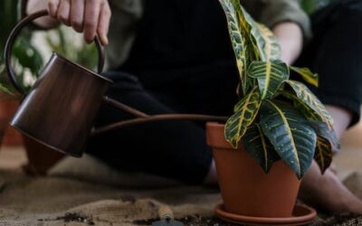 Jardinería y Restauración del Paisaje