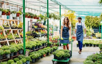 Actividades Auxiliares en Viveros, Jardines y Centros de Jardinería