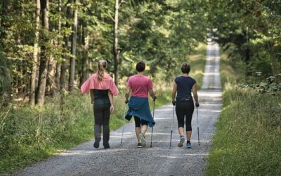 Monitor de Actividades Físico-Deportivas en el Medio Ambiente (Online)