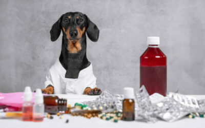 Especialista en Farmacia Veterinariaㅤㅤㅤㅤㅤㅤㅤㅤㅤㅤㅤㅤㅤㅤㅤㅤㅤㅤㅤㅤㅤㅤㅤㅤㅤㅤㅤㅤㅤㅤ