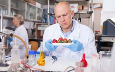 Especialista en Food Defense en la Industria Alimentariaㅤㅤㅤㅤㅤㅤㅤㅤㅤㅤㅤㅤㅤㅤㅤ
