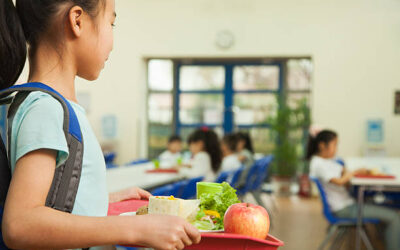 Experto en Nutrición Infantilㅤㅤㅤㅤㅤㅤㅤㅤㅤㅤㅤㅤㅤㅤㅤ