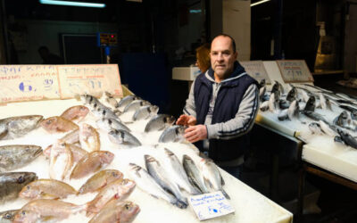 Manipulador de Alimentos de Alto Riesgo. Comercio Detallista. Especialidad en Pescadería (Online)