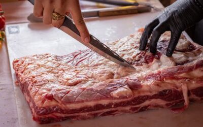 Manipulador de Alimentos. Sector Cárnico