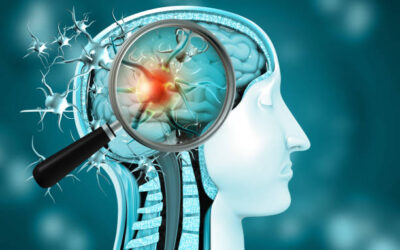 Especialista en Neuroanatomía y Neurología Funcional