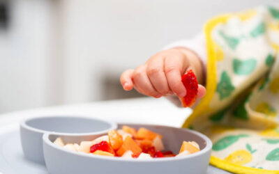 Técnico en Nutrición Infantil para Comedores Escolares y Guarderías Infantiles