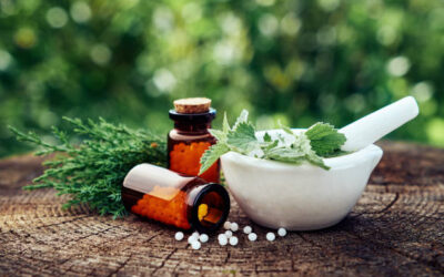 Técnico Profesional en Homeopatía, Fitoterapia y Nutriciónㅤㅤㅤㅤㅤㅤㅤㅤㅤㅤㅤㅤㅤㅤㅤ