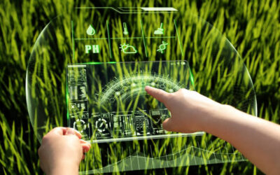 Técnico en Biotecnología Alimentariaㅤㅤㅤㅤㅤㅤㅤㅤㅤㅤㅤㅤㅤㅤㅤ