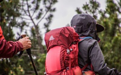 Curso Práctico de Primeros Auxilios para Excursionistas (Online)