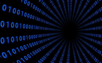 Técnico en Gestores de Datos y de la Información