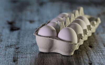 Especialista en Técnicas Bioquímicas y Análisis Microbiológicos en Alimentos