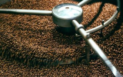 Fabricación de Productos de Café y Sucedáneos de Caféㅤㅤㅤㅤㅤㅤㅤㅤㅤㅤㅤㅤ