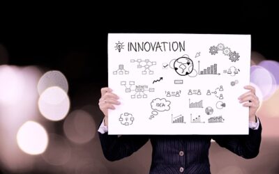 Experto en Innovación en el Sector Servicios