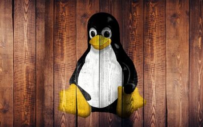 Especialista TIC en Linux Básico Linux Avanzado‎ ‎ ‎ ‎ ‎ ‎ ‎ ‎ ‎ ‎ ‎ ‎ ‎ ‎ ‎ ‎ ‎ ‎ ‎ ‎ ‎ ‎ ‎ ‎ ‎ ‎ ‎ ‎ ‎‎ ‎ ‎ ‎ ‎ ‎ ‎ ‎ ‎ ‎ ‎ ‎ ‎ ‎ ‎ ‎ ‎ ‎ ‎ ‎ ‎ ‎ ‎ ‎ ‎ ‎ ‎ ‎ ‎‎ ‎ ‎ ‎ ‎ ‎ ‎ ‎ ‎ ‎ ‎ ‎ ‎ ‎ ‎ ‎ ‎ ‎ ‎ ‎ ‎ ‎ ‎ ‎ ‎ ‎ ‎ ‎ ‎