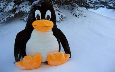 Especialista TIC en Linux Básico + Linux Avanzado‎ ‎ ‎ ‎ ‎ ‎ ‎ ‎ ‎ ‎ ‎ ‎ ‎ ‎ ‎ ‎ ‎ ‎ ‎ ‎ ‎ ‎ ‎ ‎ ‎ ‎ ‎ ‎ ‎‎ ‎ ‎ ‎ ‎ ‎ ‎ ‎ ‎ ‎ ‎ ‎ ‎ ‎ ‎ ‎ ‎ ‎ ‎ ‎ ‎ ‎ ‎ ‎ ‎ ‎ ‎ ‎ ‎‎ ‎ ‎ ‎ ‎ ‎ ‎ ‎ ‎ ‎ ‎ ‎ ‎ ‎ ‎ ‎ ‎ ‎ ‎ ‎ ‎ ‎ ‎ ‎ ‎ ‎ ‎ ‎ ‎