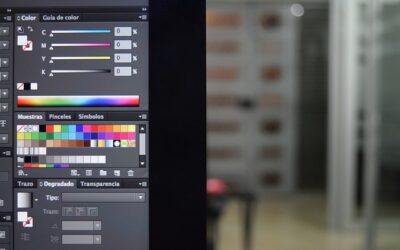 Técnico Profesional en Diseño con Adobe Illustrator CS4 (Online)