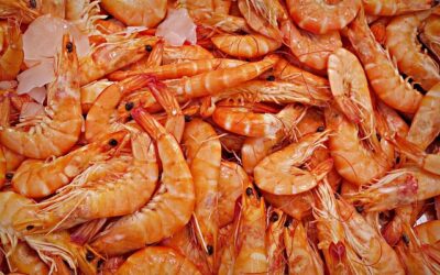 Encargado de Pescadería (Online)
